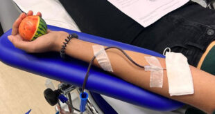 avis donazione sangue