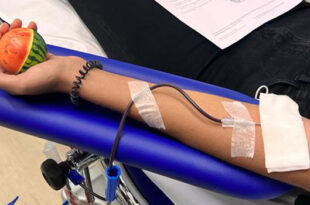 avis donazione sangue