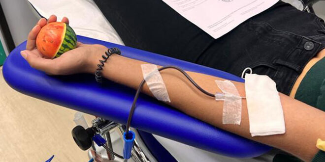 avis donazione sangue
