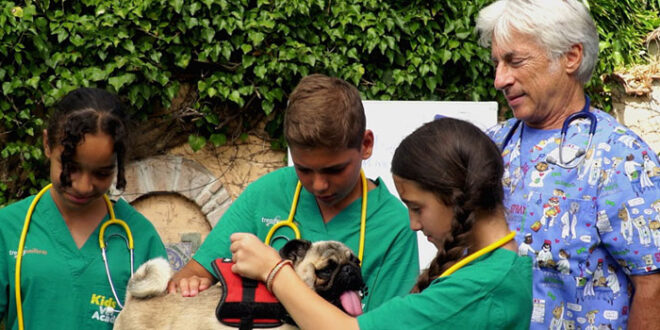 rai veterinari