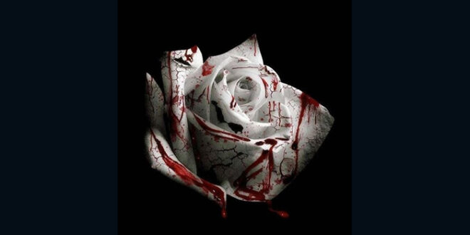 D4VD cover