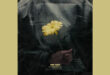 “Fiore Giallo” il nuovo singolo di AMSI