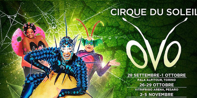 Cirque du Soleil