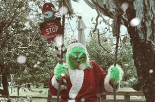 Napoli Grinch