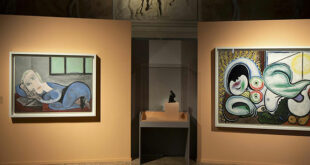 Picasso Palazzo te