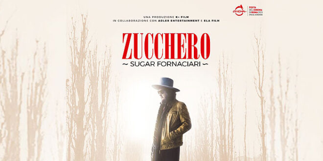 Zucchero