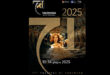 Taormina Film Festival
